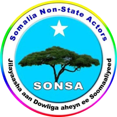 Somalia Non-State Actors (SONSA)