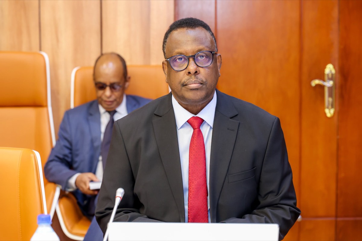 Portrait of H.E. Hassan Moalim Mohamud Sheikh Ali